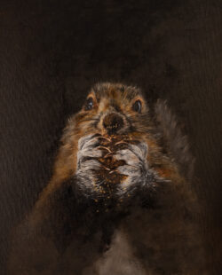 Oil on linen