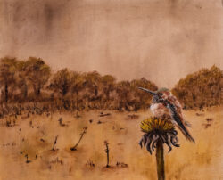 Oil on Arches paper
